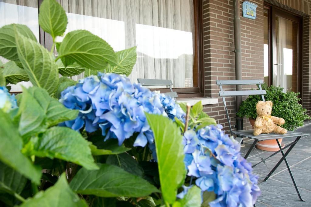 Appartamento Hoevedomein Polderrust Nieuwpoort Esterno foto